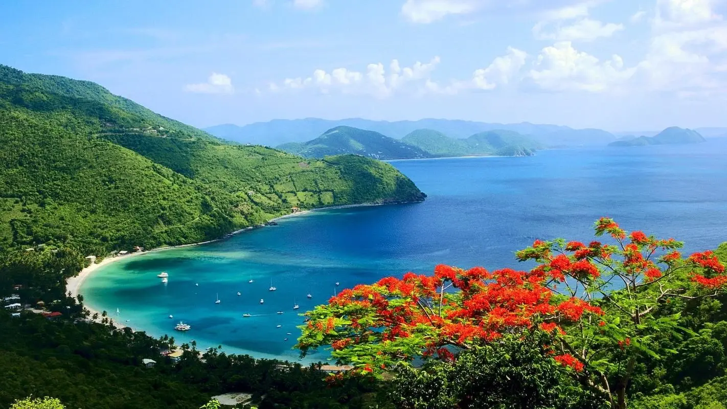 智能化精密